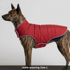 Skatrs Puffer Reversible Jacket for Dogs and Cats (Blue/Red) Both-Clothing & Accessories Skatrs L: 29-32 in Chest