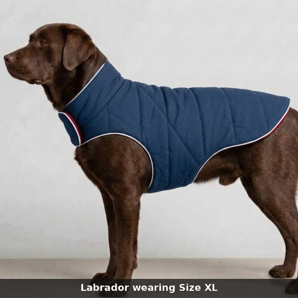 Skatrs Puffer Reversible Jacket for Dogs and Cats (Blue/Red)