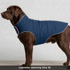 Skatrs Puffer Reversible Jacket for Dogs and Cats (Blue/Red) Both-Clothing & Accessories Skatrs