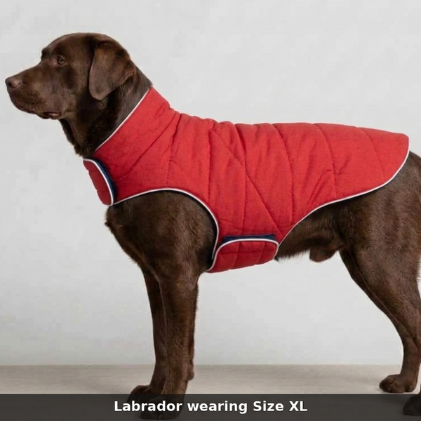 Skatrs Puffer Reversible Jacket for Dogs and Cats (Blue/Red)
