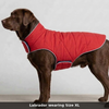 Skatrs Puffer Reversible Jacket for Dogs and Cats (Blue/Red) Both-Clothing & Accessories Skatrs XL: 32-35 in Chest