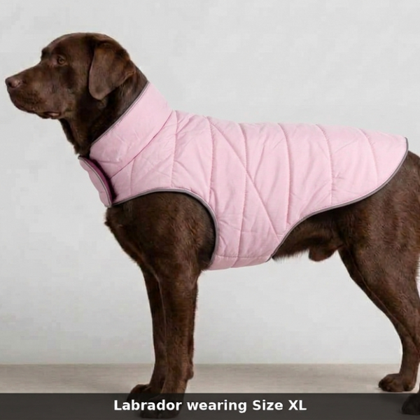 Skatrs Puffer Reversible Jacket for Dogs and Cats (Wine/Pink)