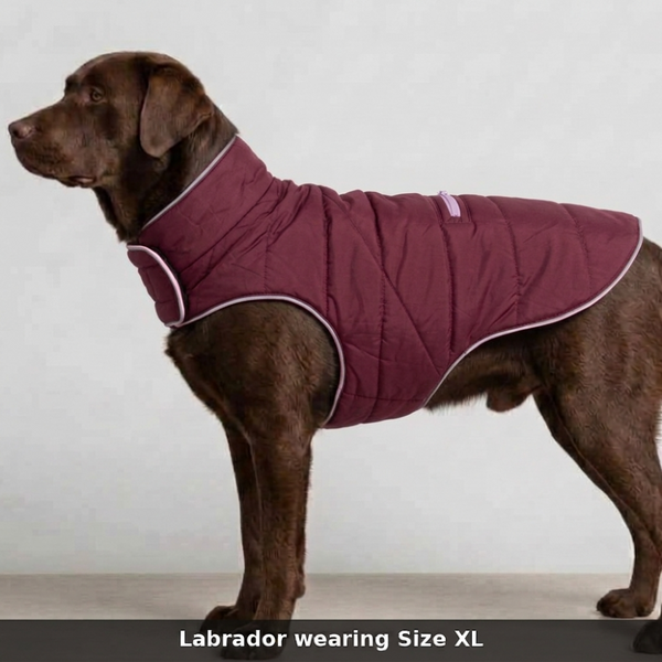 Skatrs Puffer Reversible Jacket for Dogs and Cats (Wine/Pink)