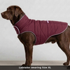 Skatrs Puffer Reversible Jacket for Dogs and Cats (Wine/Pink) Both-Clothing & Accessories Skatrs