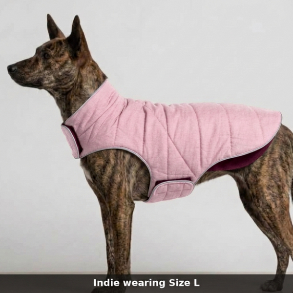 Skatrs Puffer Reversible Jacket for Dogs and Cats (Wine/Pink)