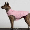 Skatrs Puffer Reversible Jacket for Dogs and Cats (Wine/Pink) Both-Clothing & Accessories Skatrs L: 29-32 in Chest