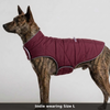 Skatrs Puffer Reversible Jacket for Dogs and Cats (Wine/Pink) Both-Clothing & Accessories Skatrs