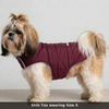 Skatrs Puffer Reversible Jacket for Dogs and Cats (Wine/Pink) Both-Clothing & Accessories Skatrs