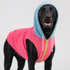 Skatrs Candy Sky Hoodie For Dogs and Cats Both-Clothing & Accessories Skatrs