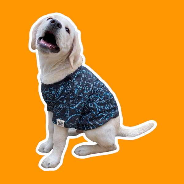 Talking Dog Club Doggy Warmer Dino Sweatshirt for Dogs (Charcoal)