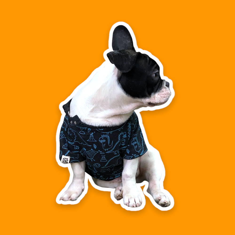 Talking Dog Club Doggy Warmer Dino Sweatshirt for Dogs (Charcoal)