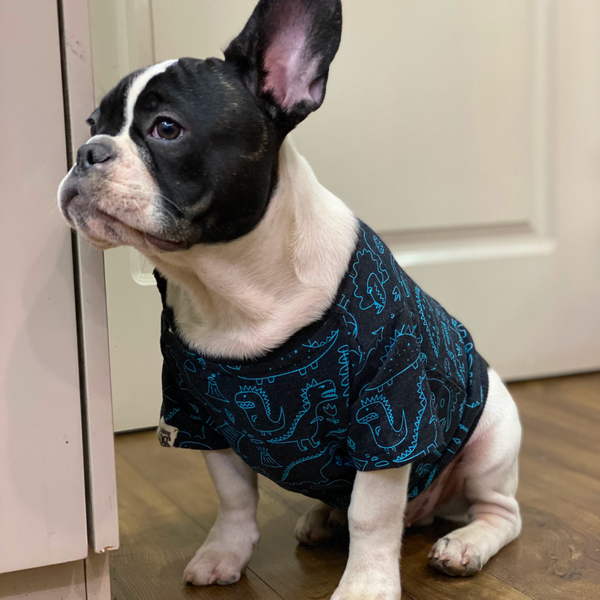 Talking Dog Club Doggy Warmer Dino Sweatshirt for Dogs (Charcoal)