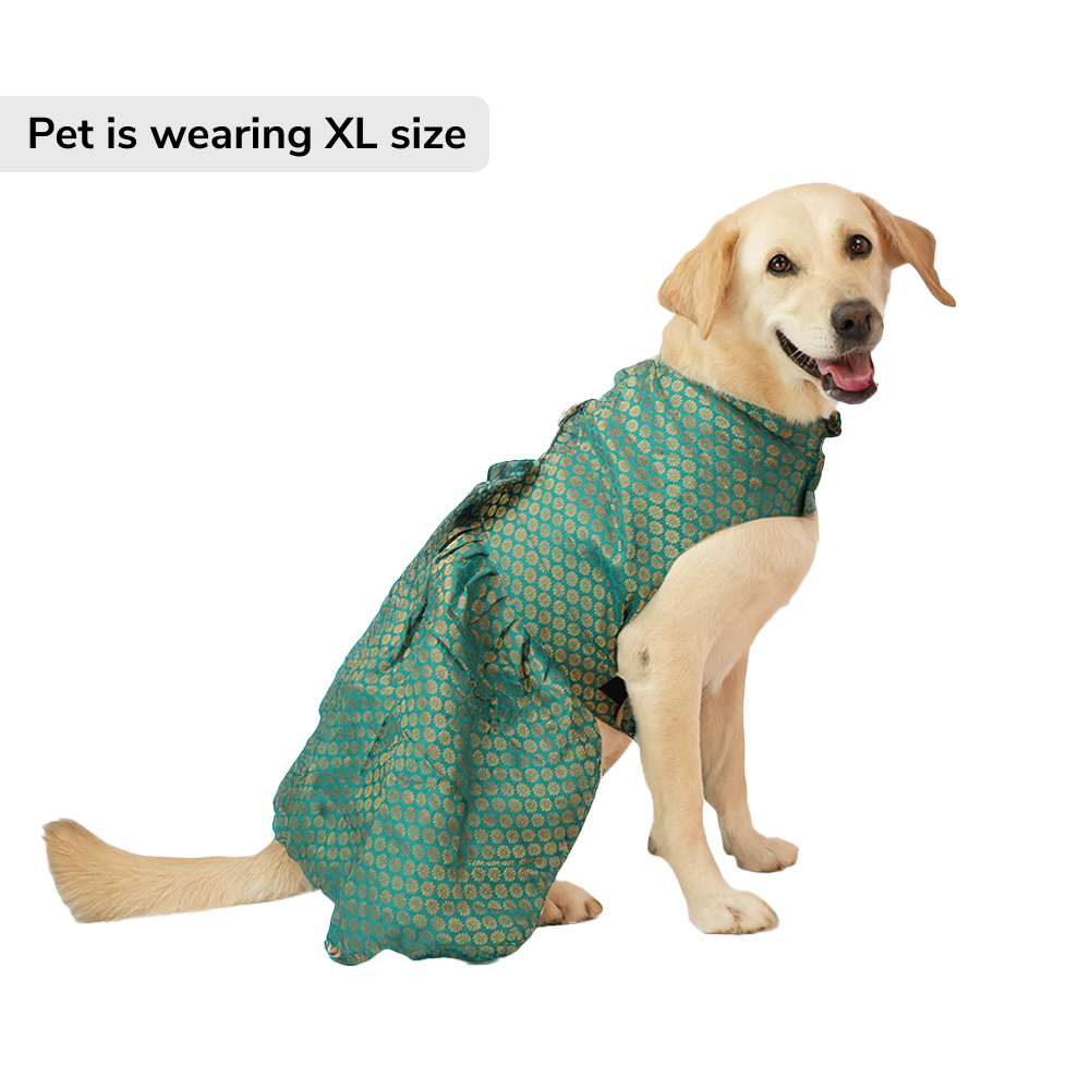 Skatrs Brocade Gold Printed Dress for Dogs and Cats (Teal) Both-Clothing & Accessories Skatrs