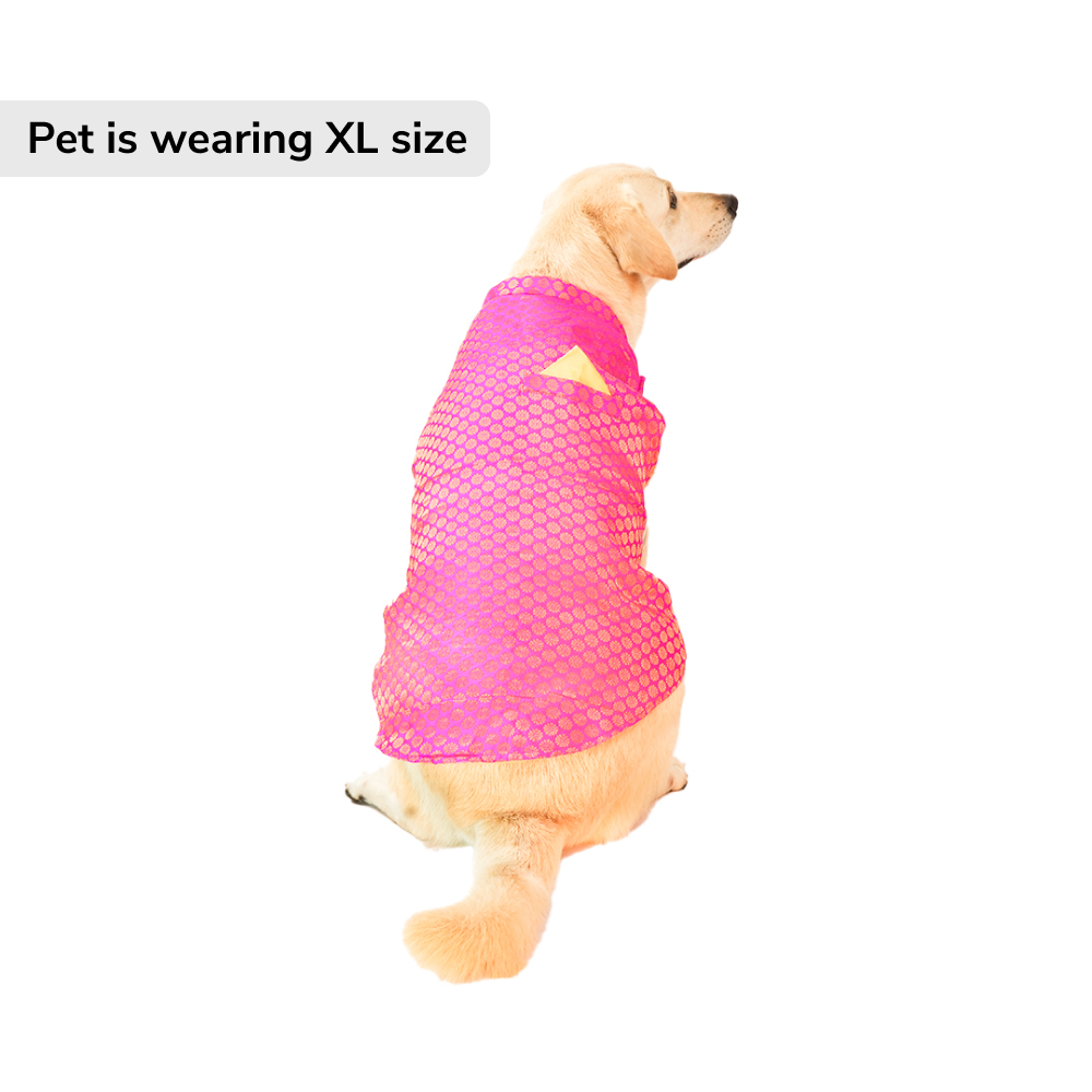 Skatrs Brocade Gold Printed Sherwani for Dogs and Cats (Pink) Both-Clothing & Accessories Skatrs
