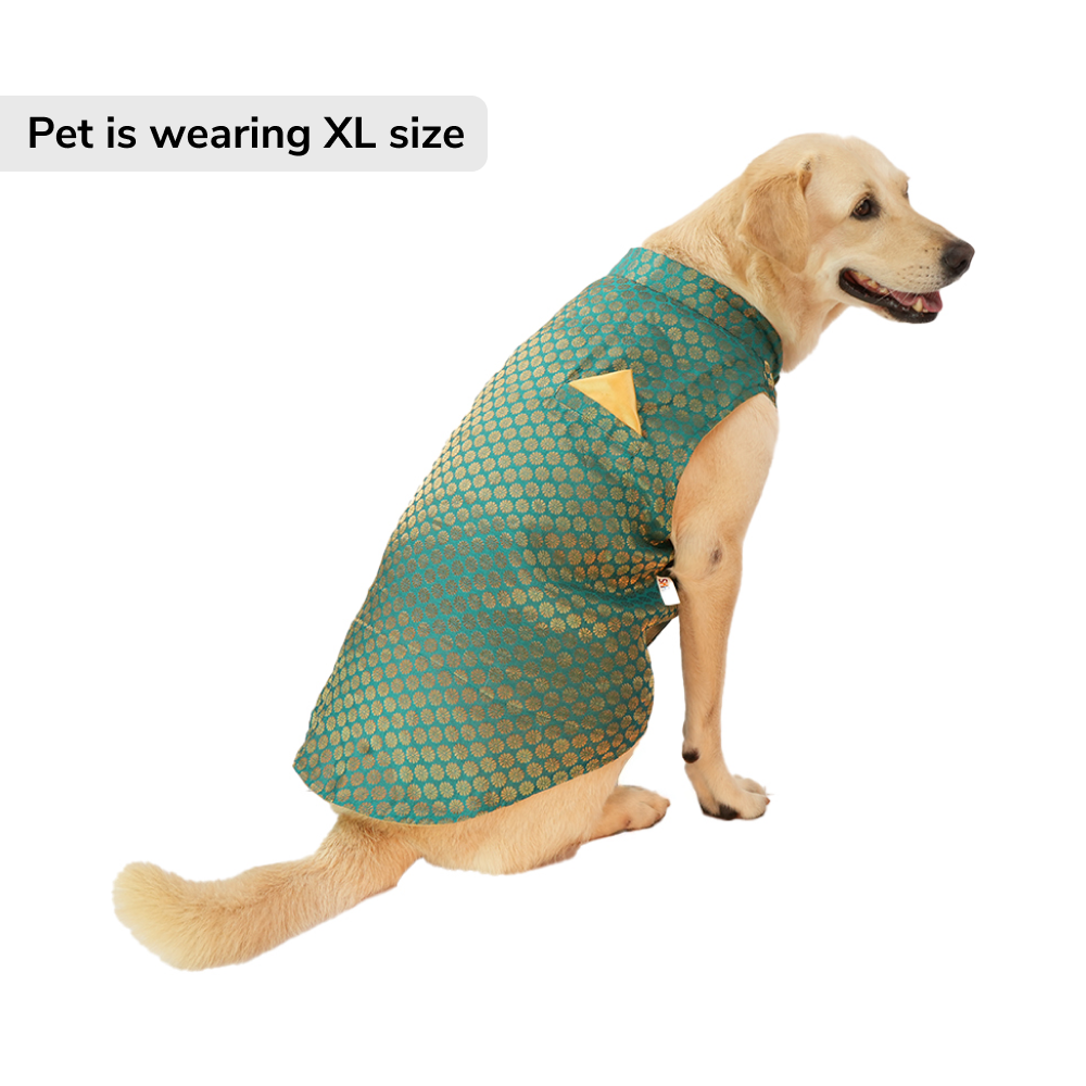 Skatrs Brocade Gold Printed Sherwani for Dogs and Cats (Teal) Both-Clothing & Accessories Skatrs