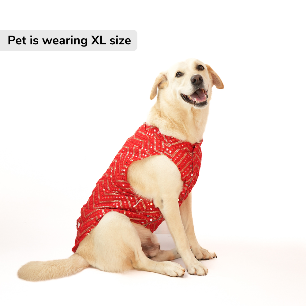 Skatrs Festive Mirror Sherwani for Cats and Dogs (Red) Both-Clothing & Accessories Skatrs