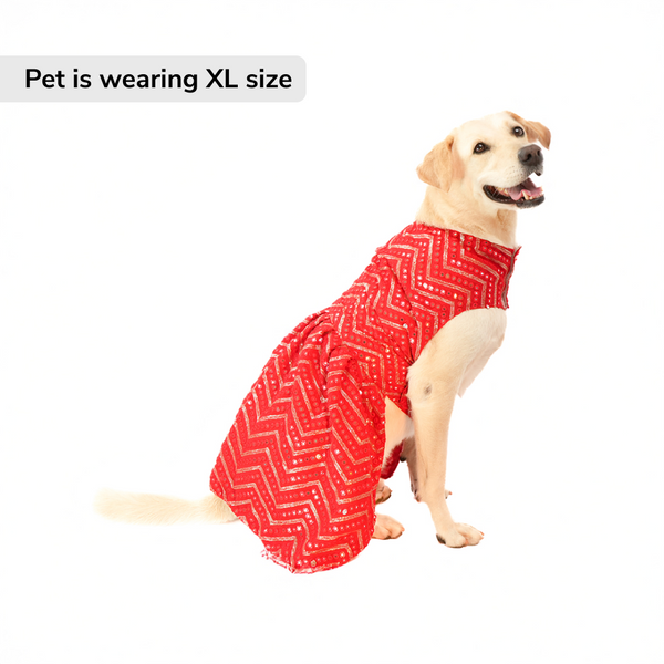 Skatrs Festive Mirror Lehenga for Cats and Dogs (Red)