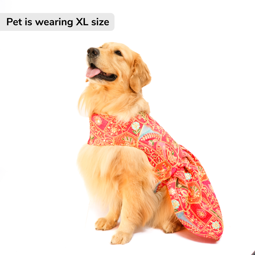 Skatrs Royale Lehenga for cats and dogs (Pink) Both-Clothing & Accessories Skatrs