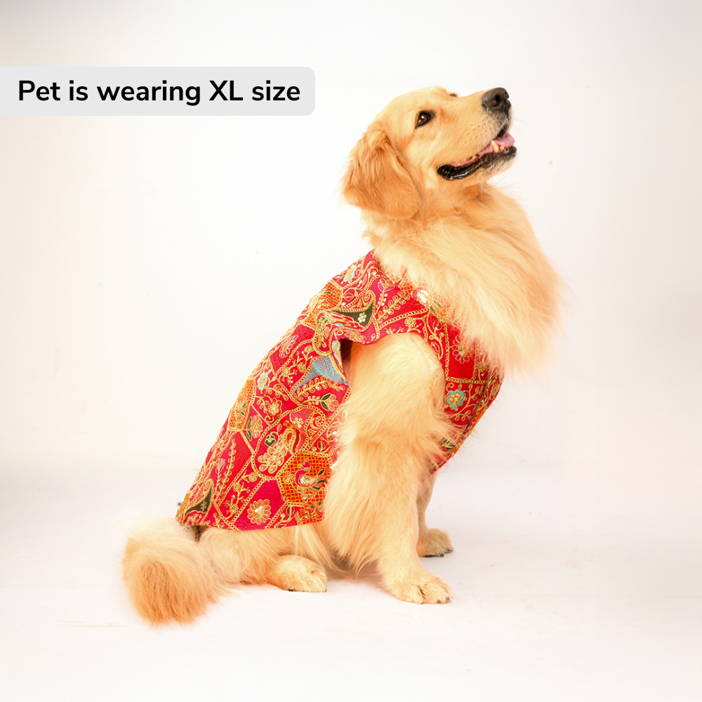 Skatrs Royale Sherwani for cats and dogs (Pink) Both-Clothing & Accessories Skatrs