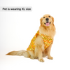 Skatrs Festive Sequence Embroidered Sherwani for Cats and Dogs (Yellow) Both-Clothing & Accessories Skatrs