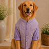 15 Furries Badhai Ho Bundi Kurta Set for Dogs (Lavender) Dogs-Clothing & Accessories 15 Furries Dropship