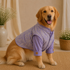 15 Furries Badhai Ho Bundi Kurta Set for Dogs (Lavender) Dogs-Clothing & Accessories 15 Furries Dropship XXS