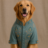 15 Furries Badhai Ho Bundi Kurta Set for Dogs (Turquoise) Dogs-Clothing & Accessories 15 Furries Dropship