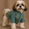 15 Furries Badhai Ho Bundi Kurta Set for Dogs (Turquoise) Dogs-Clothing & Accessories 15 Furries Dropship XXS