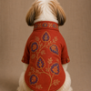 15 Furries Badhai Ho Bundi Kurta Set for Dogs (Red) Dogs-Clothing & Accessories 15 Furries Dropship