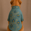 15 Furries Badhai Ho Bundi Kurta Set for Dogs (Turquoise) Dogs-Clothing & Accessories 15 Furries Dropship