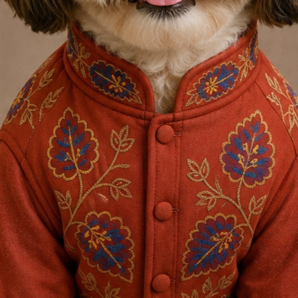 15 Furries Badhai Ho Bundi Kurta Set for Dogs (Red)