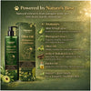 Chelsea’s Body Care Olive Oil Shampoo + Conditioner for Dogs & Cats Both-Grooming Supplies Dr. Chelsea&