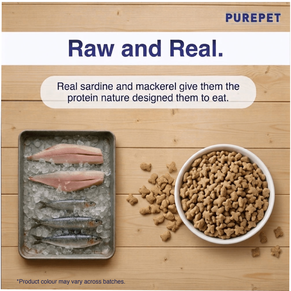 Purepet Ocean Fish Adult Cat Dry Food Cats- Dry food Purepet