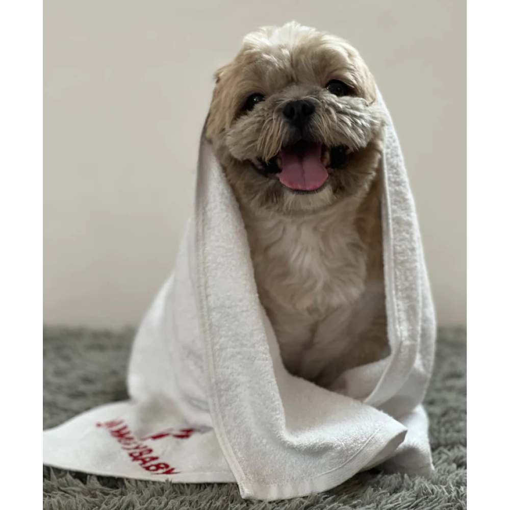 Pawgypets Pet Towel for Dogs and Cats (White) Both-Grooming Supplies Pawgypets Dropship