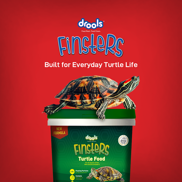 Drools Finsters Turtle Food