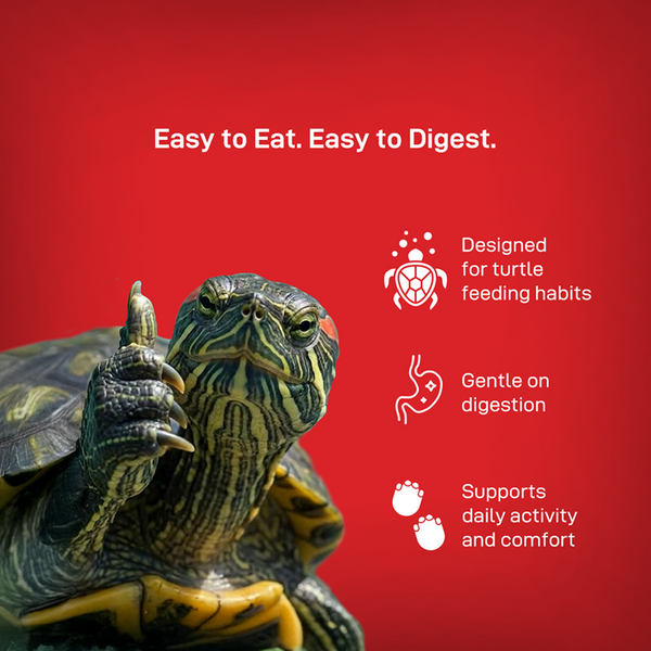 Drools Finsters Turtle Food
