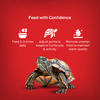 Drools Finsters Turtle Food Fish Drools Finisters