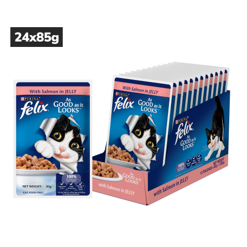 Purina Felix Salmon with Jelly Adult Cat Wet Food Cats-Wet Food Felix 24x85g