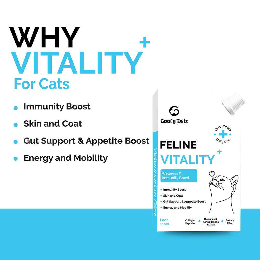 Goofy Tails Chicken Flavoured Feline Vitality + Wellness & Immunity Booster Supplement for Cats Cats-supplements Goofy Tails