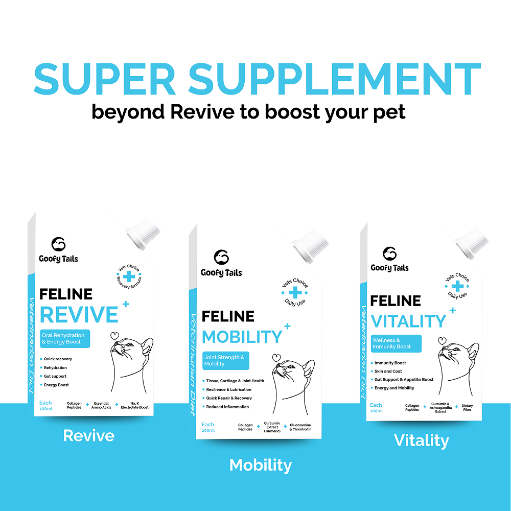 Goofy Tails Chicken Flavoured Feline Vitality + Wellness & Immunity Booster Supplement for Cats Cats-supplements Goofy Tails