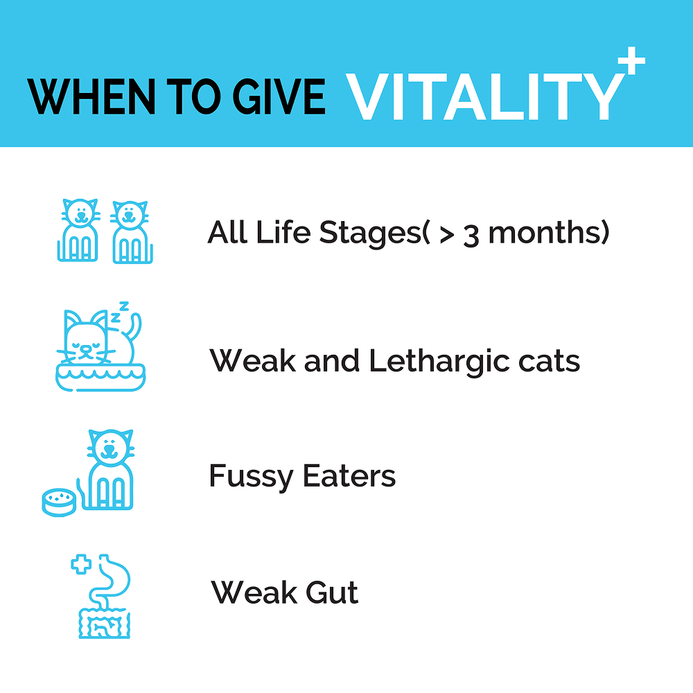 Goofy Tails Chicken Flavoured Feline Vitality + Wellness & Immunity Booster Supplement for Cats Cats-supplements Goofy Tails