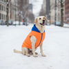 Skatrs Sunset Splash In-Style Hoodie For Dogs and Cats (Orange & Blue) Both-Clothing & Accessories Skatrs
