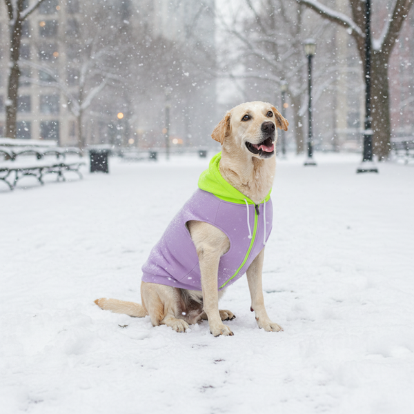 Skatrs Lilac Pop In-Style Hoodie For Dogs and Cats(Lilac & Neon Green)
