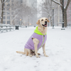 Skatrs Lilac Pop In-Style Hoodie For Dogs and Cats(Lilac & Neon Green) Both-Clothing & Accessories Skatrs