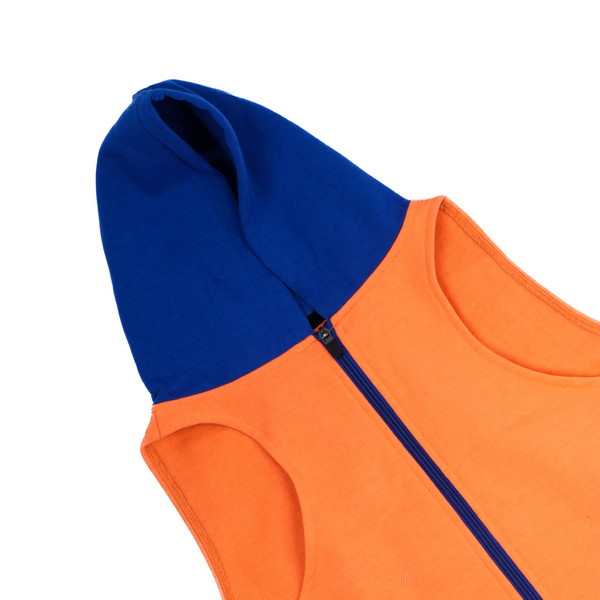 Skatrs Sunset Splash In-Style Hoodie For Dogs and Cats (Orange & Blue)