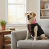 Skatrs Midnight Pop In-Style Hoodie For Dogs and Cats (Black & Neon Pink) Both-Clothing & Accessories Skatrs