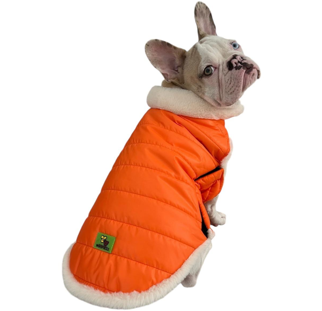 Woofiezz Warm & Comfortable Stylish Jackets for Dogs and Cats (Orange) Both-Clothing & Accessories Woofiezz Dropship XS