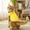 Pets Way Dive In Stripes Tshirt for Cat (Yellow) Cats-Clothing & Accessories Pets Way Dropship S