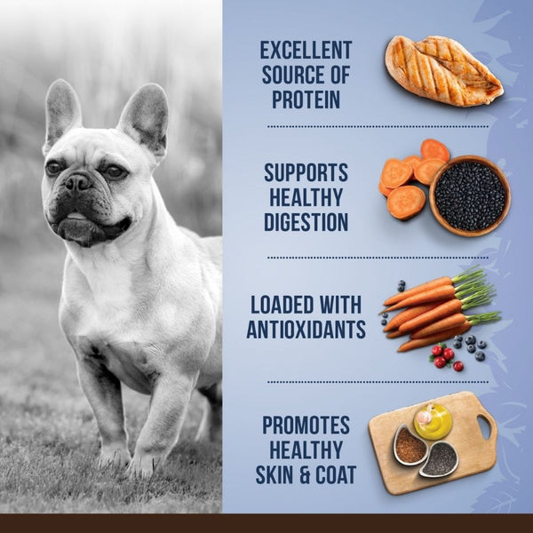 Zoe Chicken, Quinoa and Black Bean Small Breed Adult Dog Dry Food