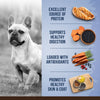 Zoe Chicken, Quinoa and Black Bean Small Breed Adult Dog Dry Food Dogs- Dry Food Zoe